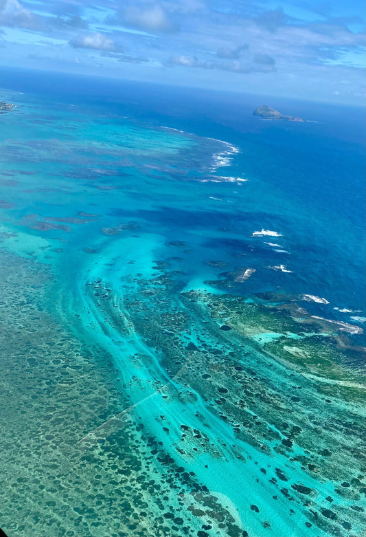 VOS EXPERIENCES : L'ILE MAURICE