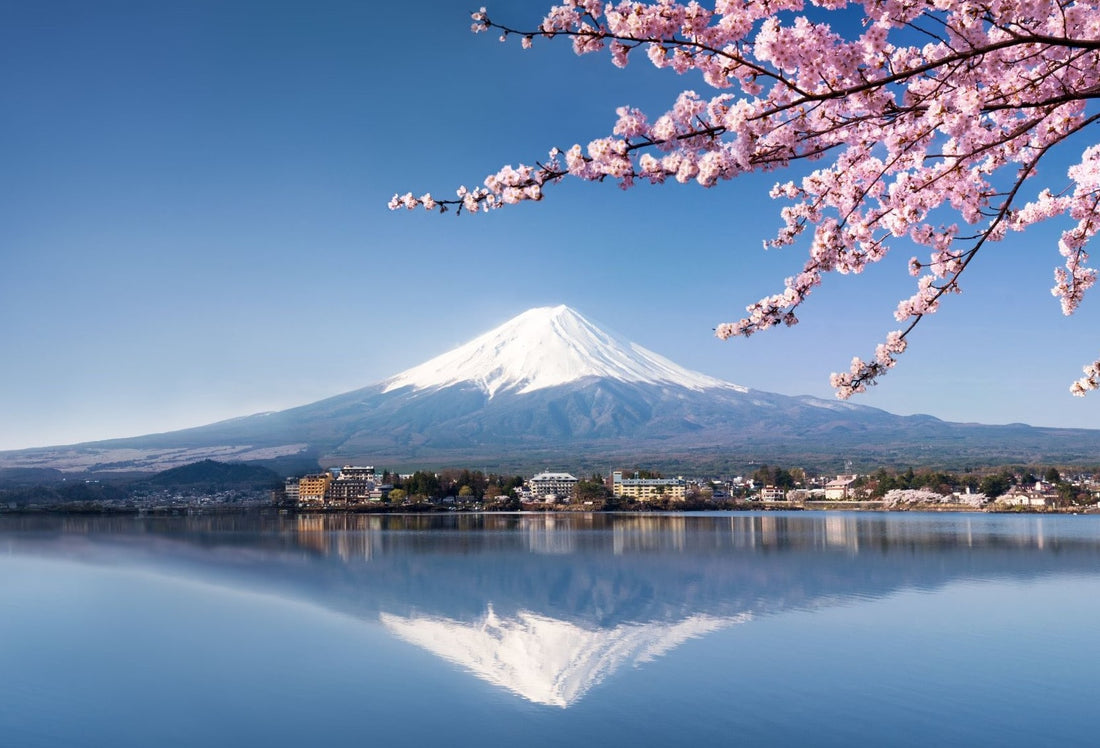 VOS EXPERIENCES : LE JAPON